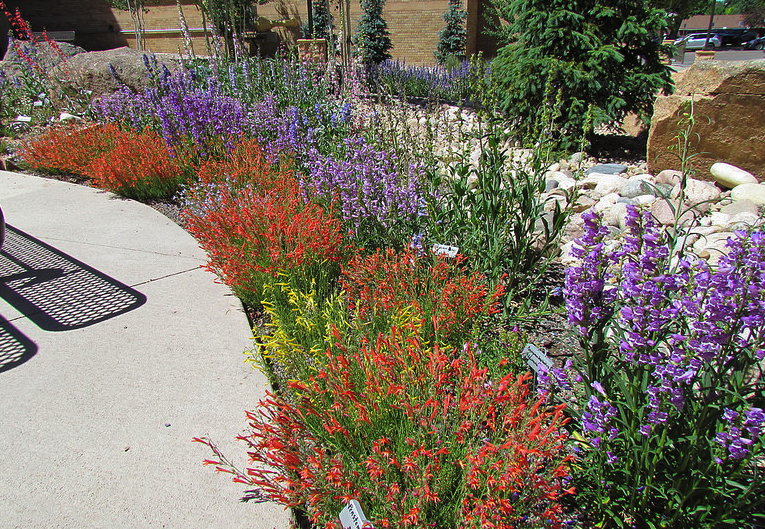  A photo of the biodiversity gardens 